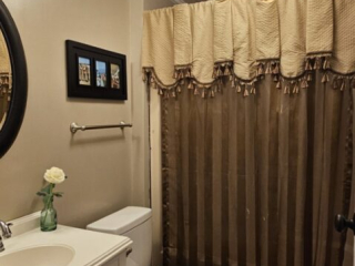 A bathroom with a toilet, shower curtain, sink, and mirror.