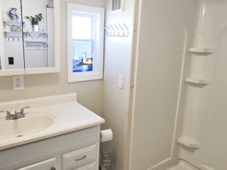 A bathroom with a sink, mirror, and shower